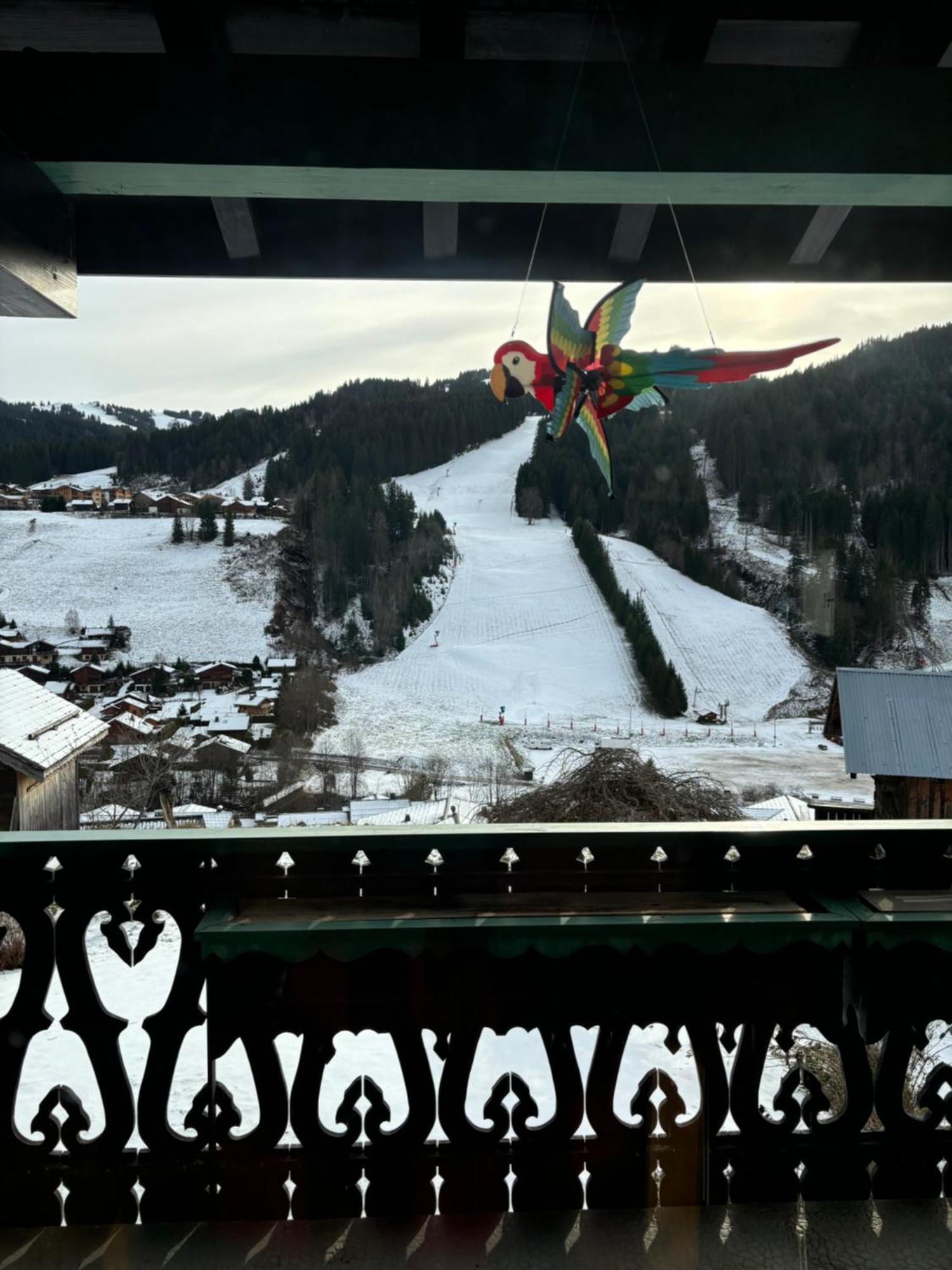 Chalet Fleur Des Alpes Les Gets Exterior photo